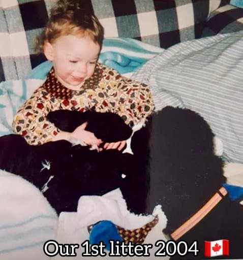 2004, Canada First Litter